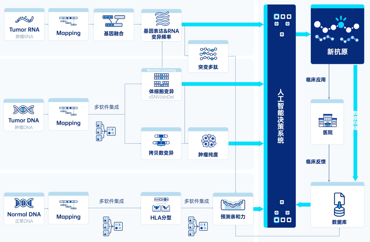 个体化新抗原 AI 筛选平台流程图